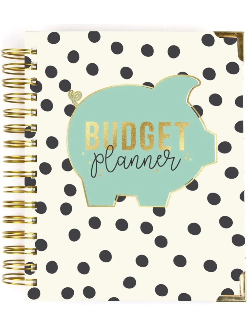 Polka Dot Budget Planner Notebook with Mint Piggy